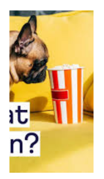 Dog can popcorn