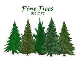 Pine Trees
