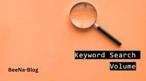 Keyword Search Volume